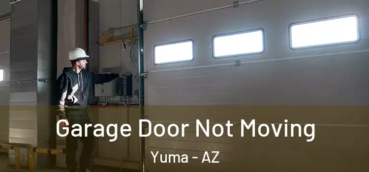  Garage Door Not Moving Yuma - AZ